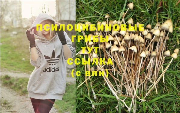 круглые Беломорск
