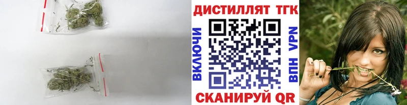продажа наркотиков  Красный Кут  Дистиллят ТГК концентрат 